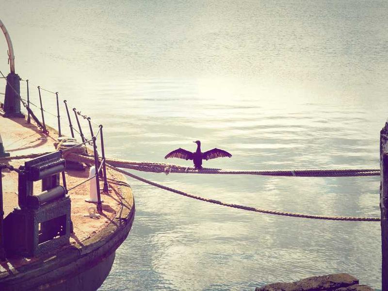 Deluxe Double - Studio