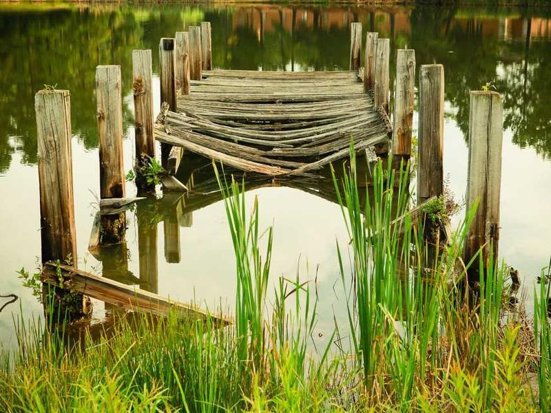 Deluxe Single - Quad