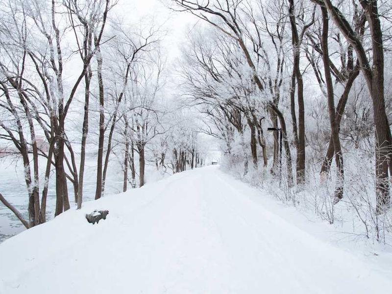 Executive Room - Studio