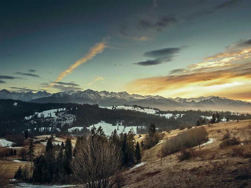 Family Room - Dormitory
