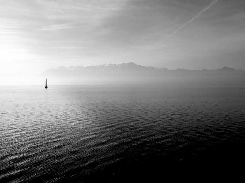 Family Room - Single