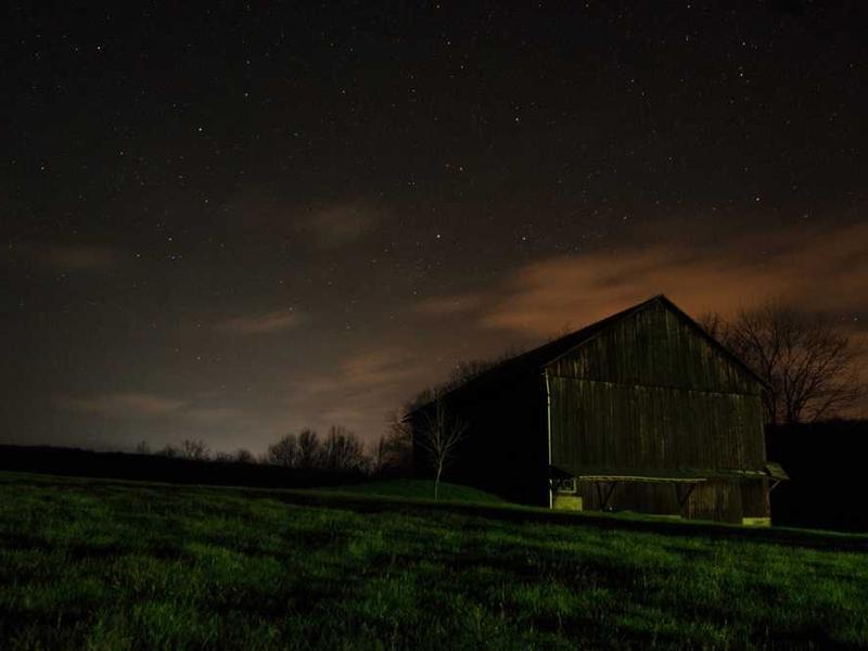 Luxury Suite - 1 BHK