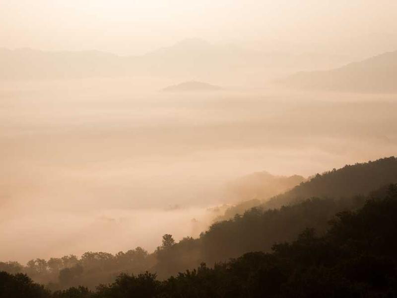 Luxury Suite - 2 BHK