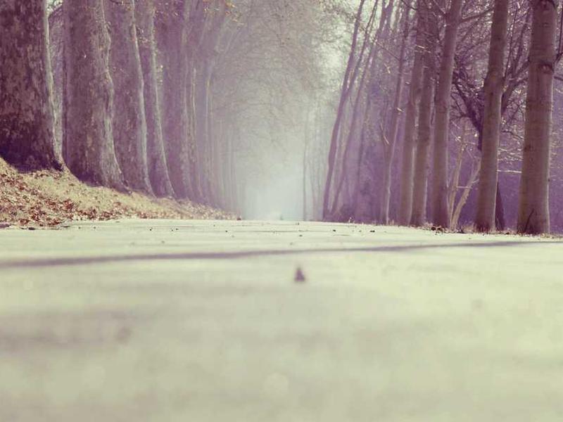 Master Bedroom - 3 BHK