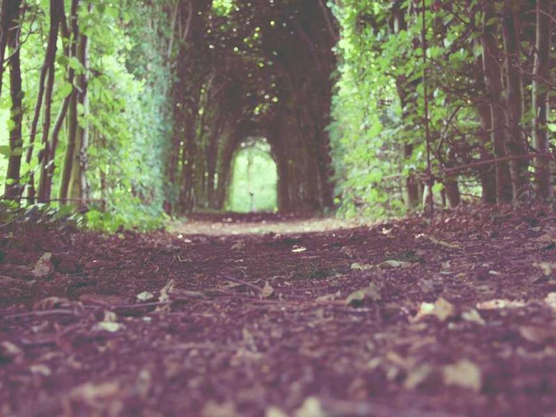 Master Bedroom - Double