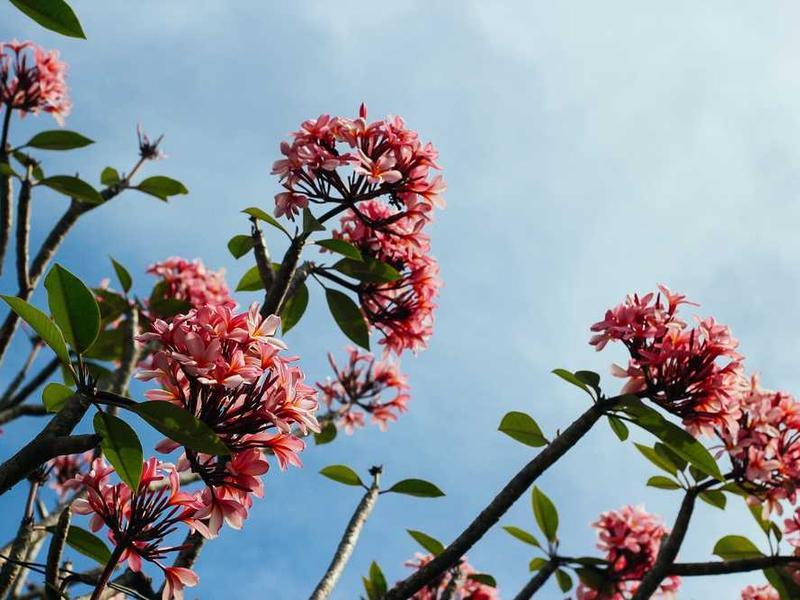 Master Bedroom - Single