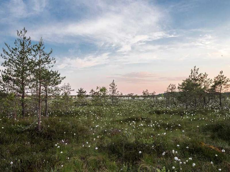 Master Bedroom - Single