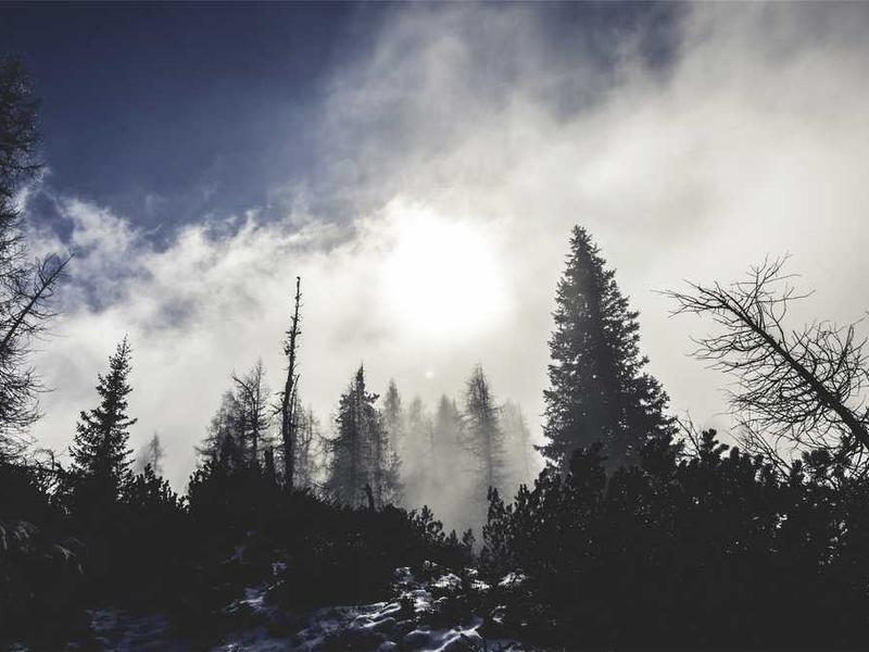 Master Bedroom - Studio