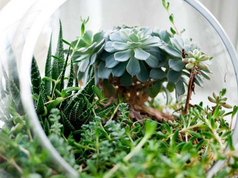 Master Bedroom - Triple