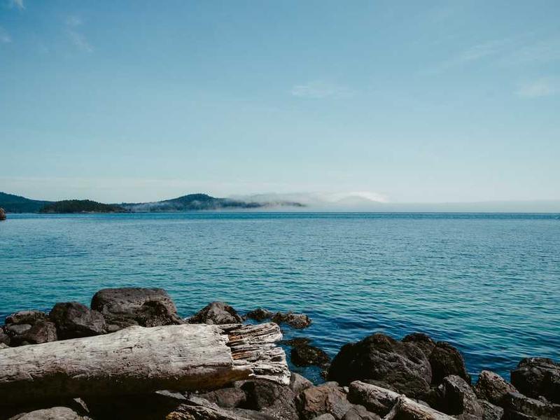 Premium Single - 2 BHK