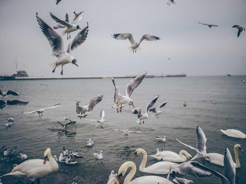 Quad Sharing - 3 BHK