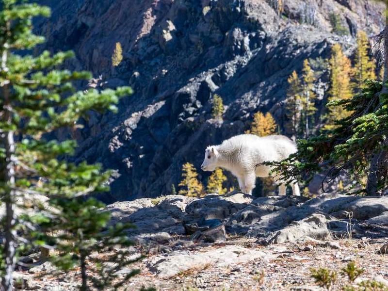 Quad Sharing - Studio