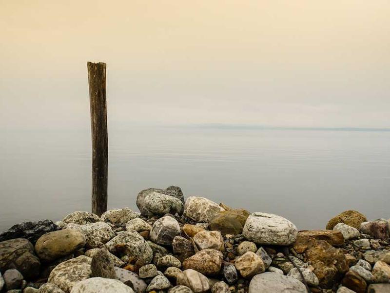 Quad Sharing - Triple