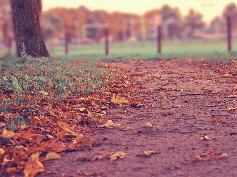 Shared Dormitory - 1 BHK