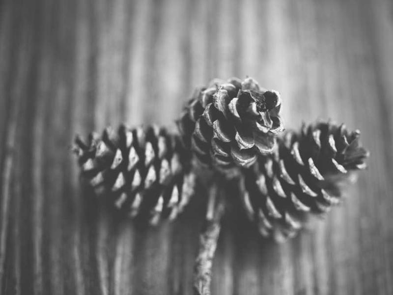 Standard Double - Dormitory