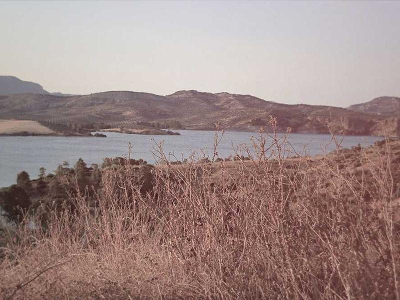 Standard Double - Quad