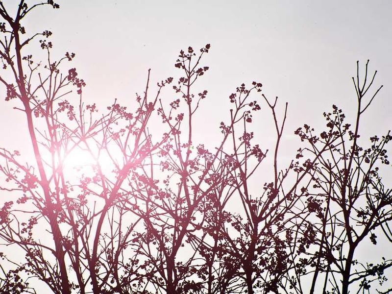 Standard Single - Quad