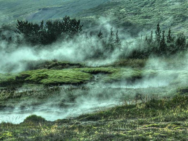 Standard Single - Single