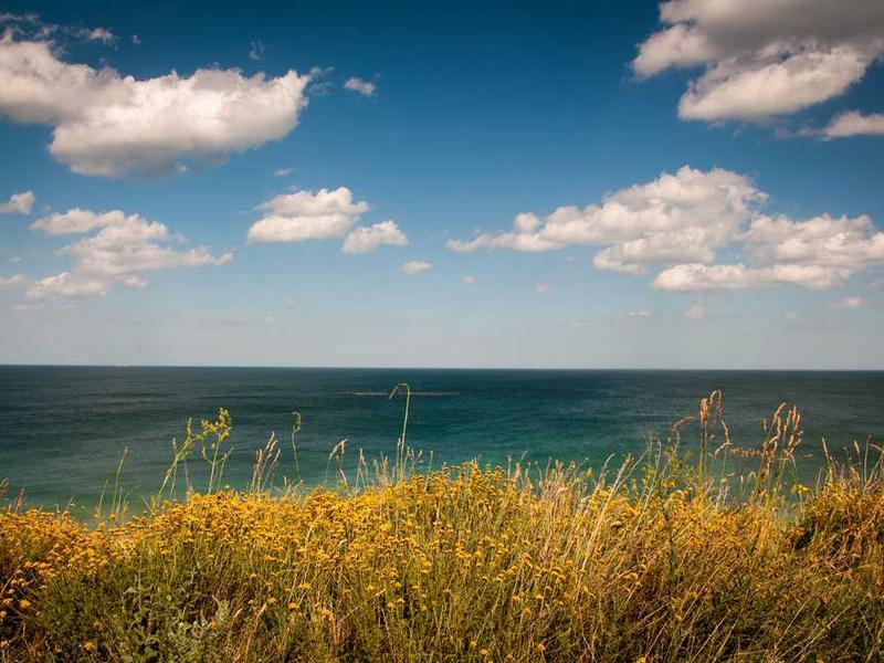 Studio Room - Studio