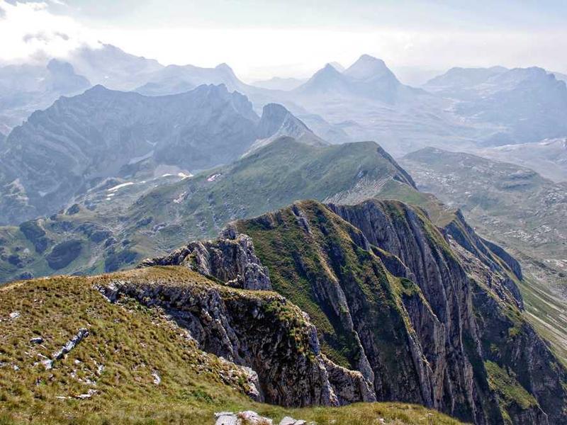 Triple Sharing - 1 BHK