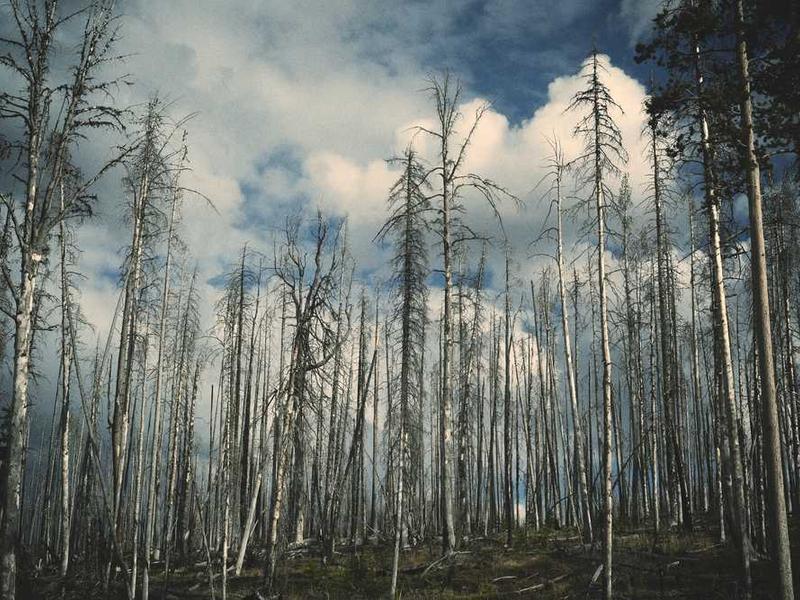 Triple Sharing - 3 BHK