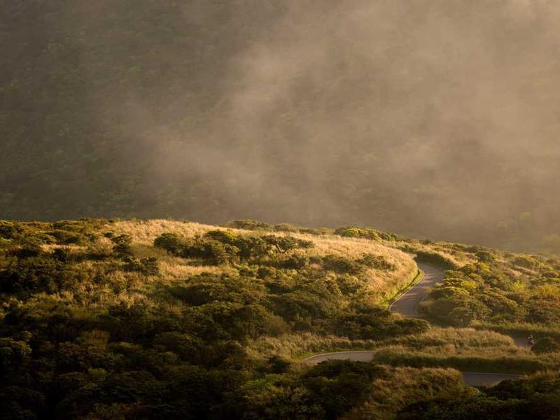 Triple Sharing - 3 BHK